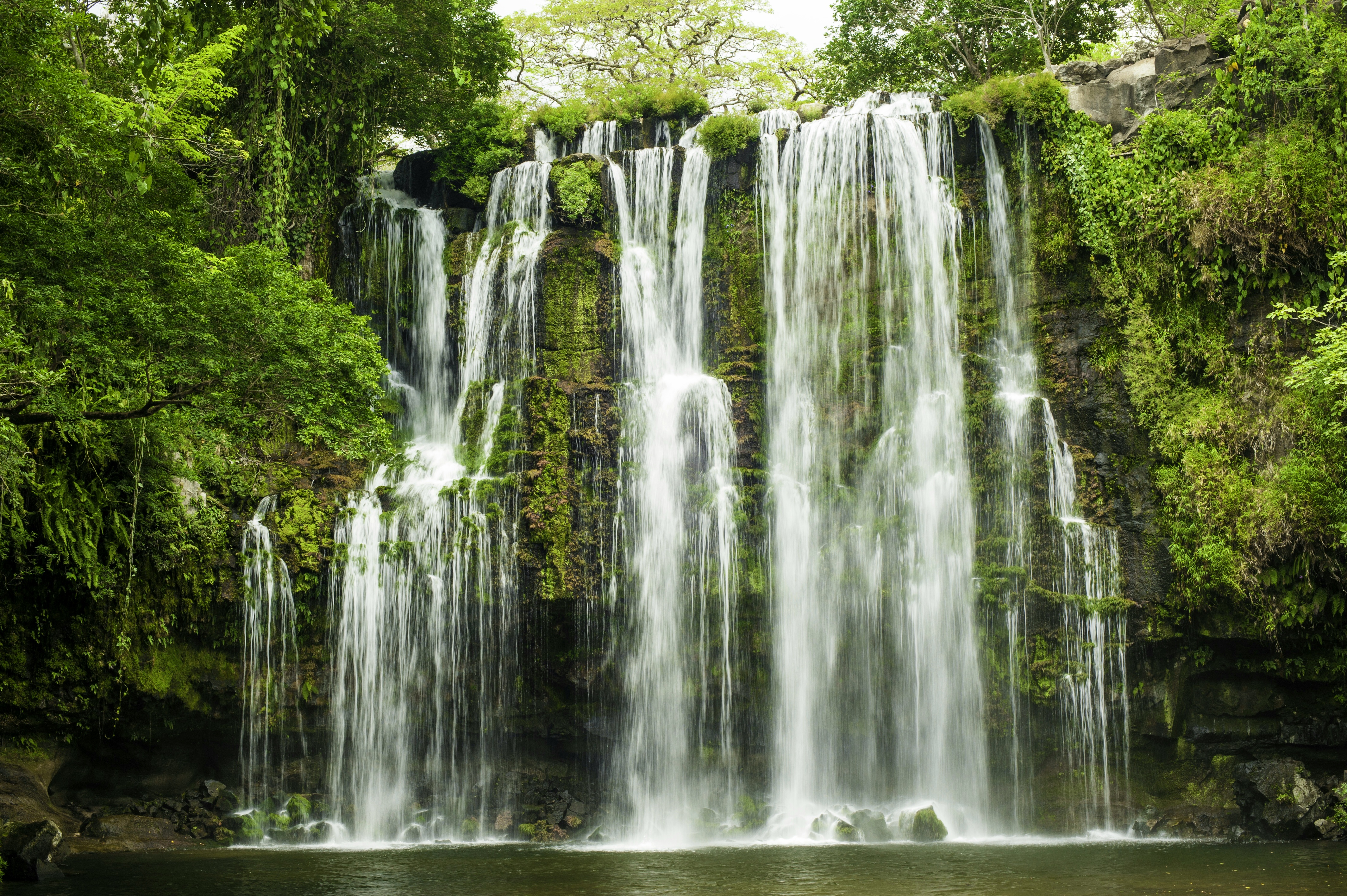 Scenic tropical waterfall in Costa Rica with the natural pool below surrounded by lush green jungle